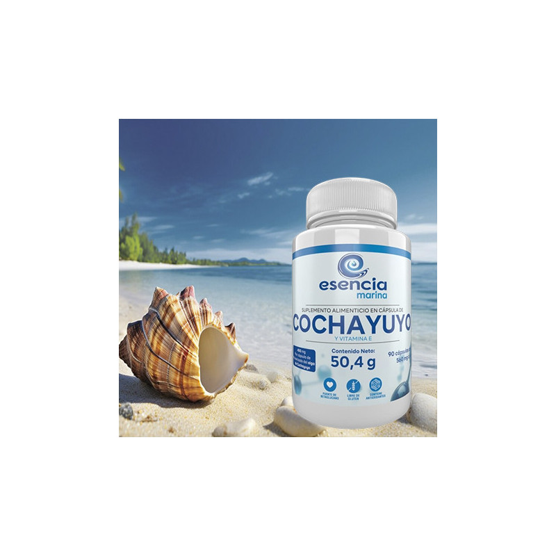 Cochayuyo Algas marinas