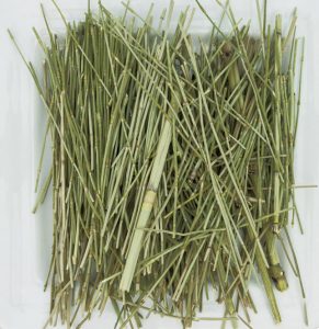 Tintura de Cola de Caballo foto de la planta cola de caballo